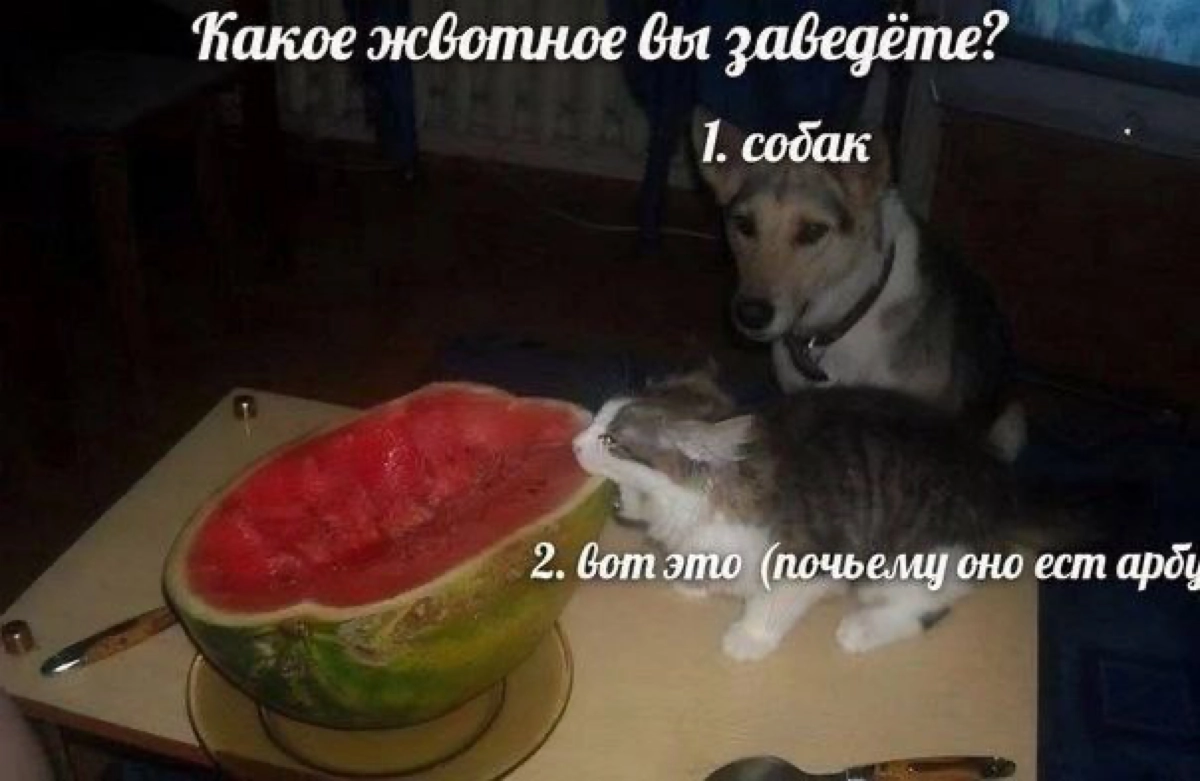 Сетка — новая социальная сеть от hh.ru