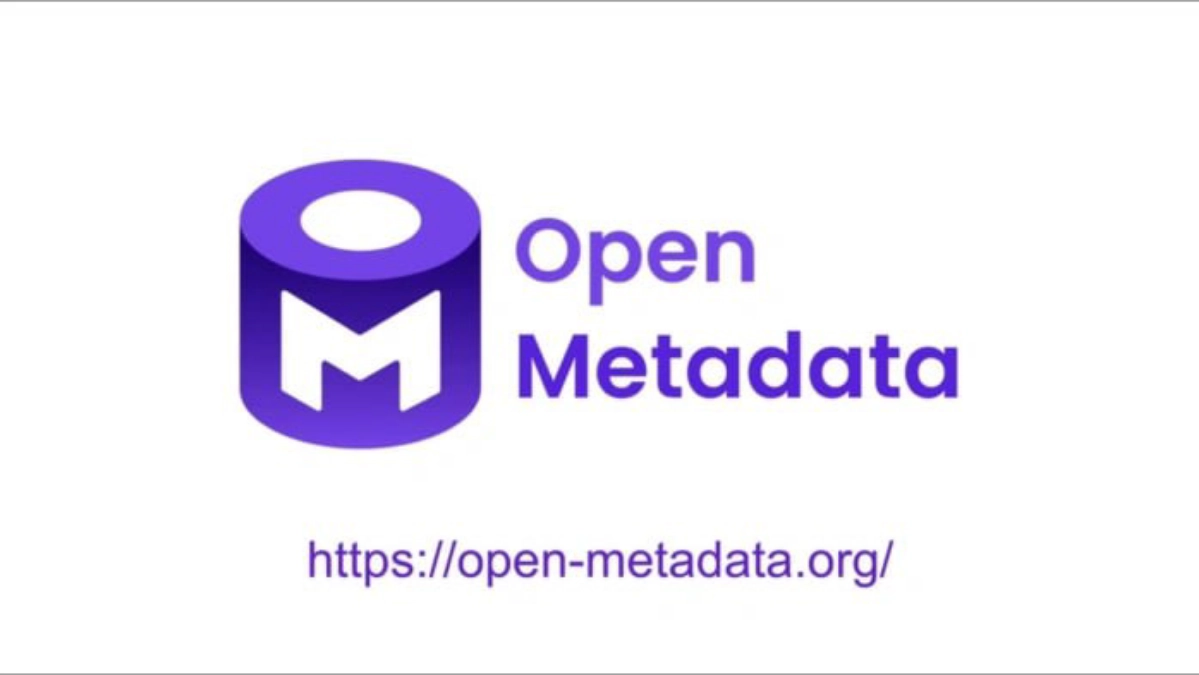 Внедрение OpenMetadata | Сетка — новая социальная сеть от hh.ru