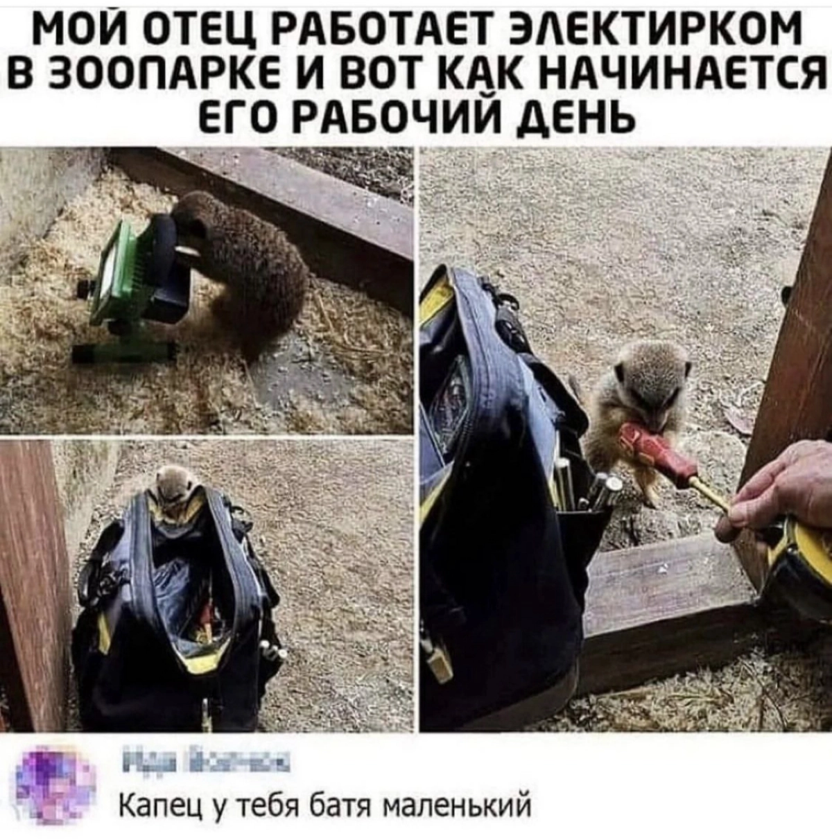 Сетка — новая социальная сеть от hh.ru