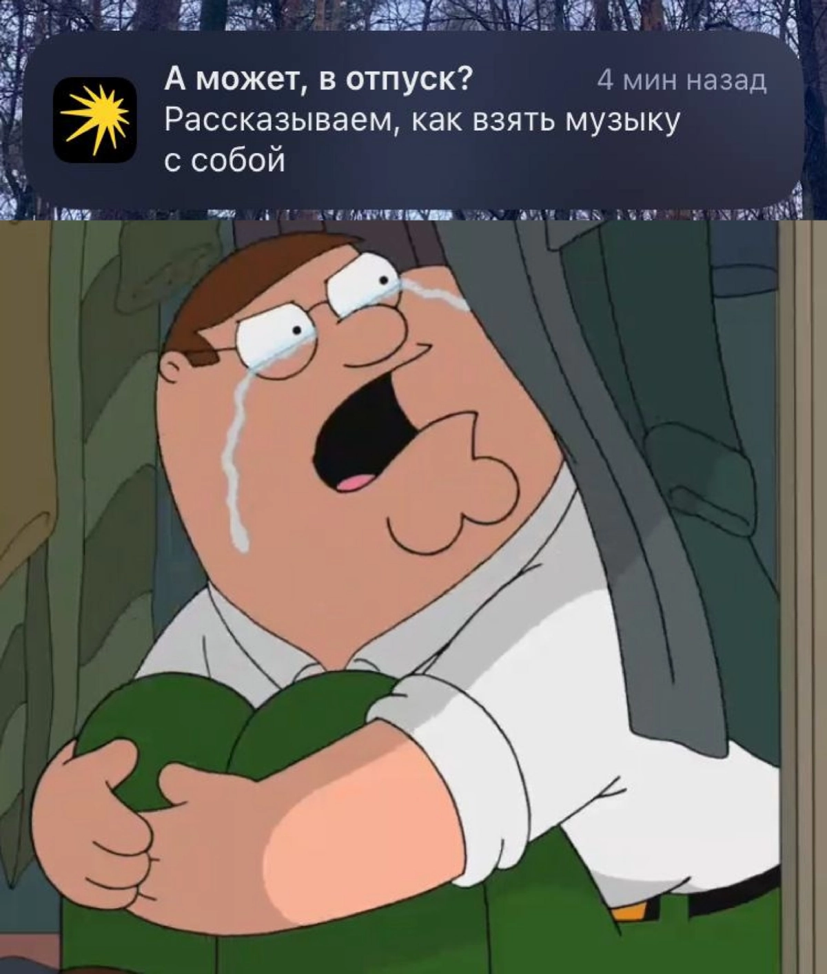 Сетка — новая социальная сеть от hh.ru