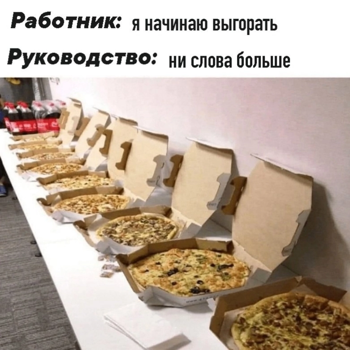 Почему так жизненно то | Сетка — новая социальная сеть от hh.ru