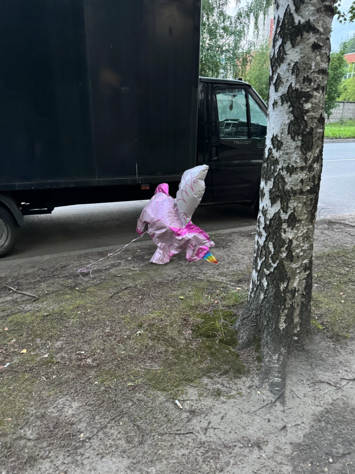 Когда пытаешься сделать из стартапа единорога 🦄 | Сетка — новая социальная сеть от hh.ru