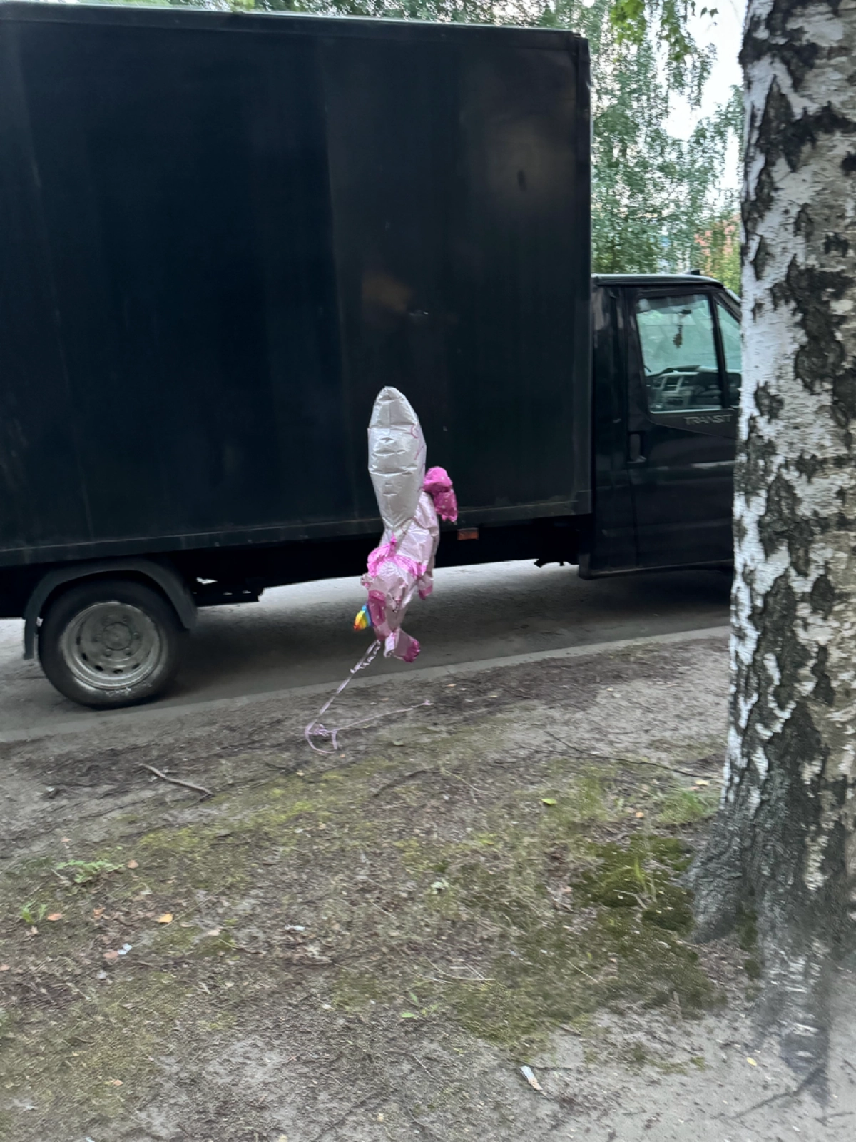 Когда пытаешься сделать из стартапа единорога 🦄 | Сетка — новая социальная сеть от hh.ru