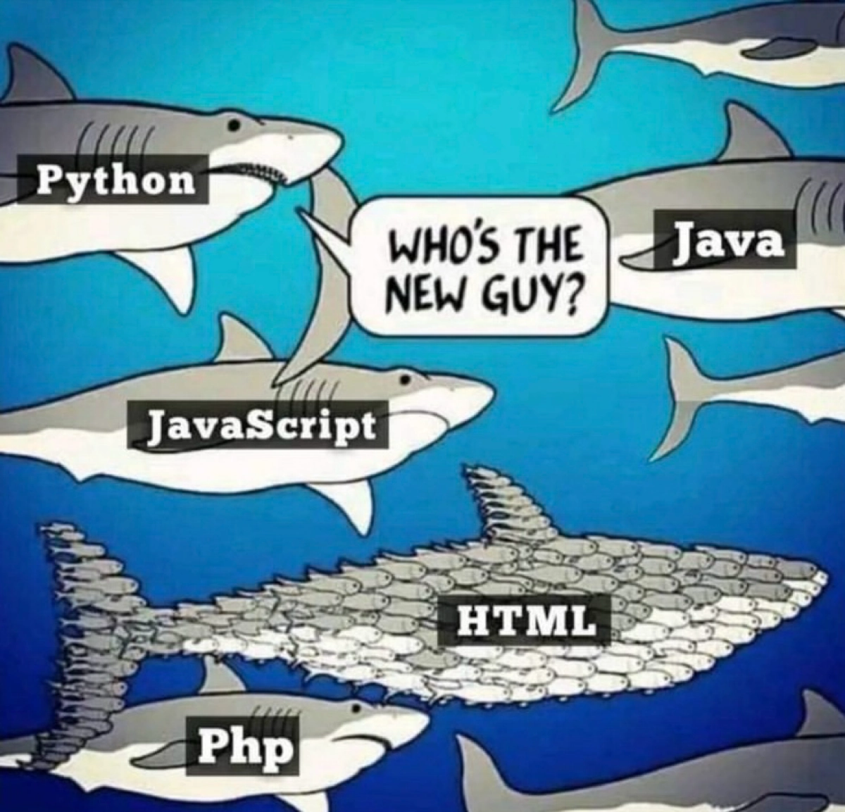 #мем #мемдня #мемы #мемасики #python #java #javascript #html #php | Сетка — новая социальная сеть от hh.ru