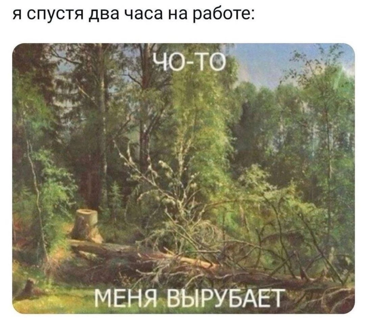 Мем #29 | Сетка — новая социальная сеть от hh.ru