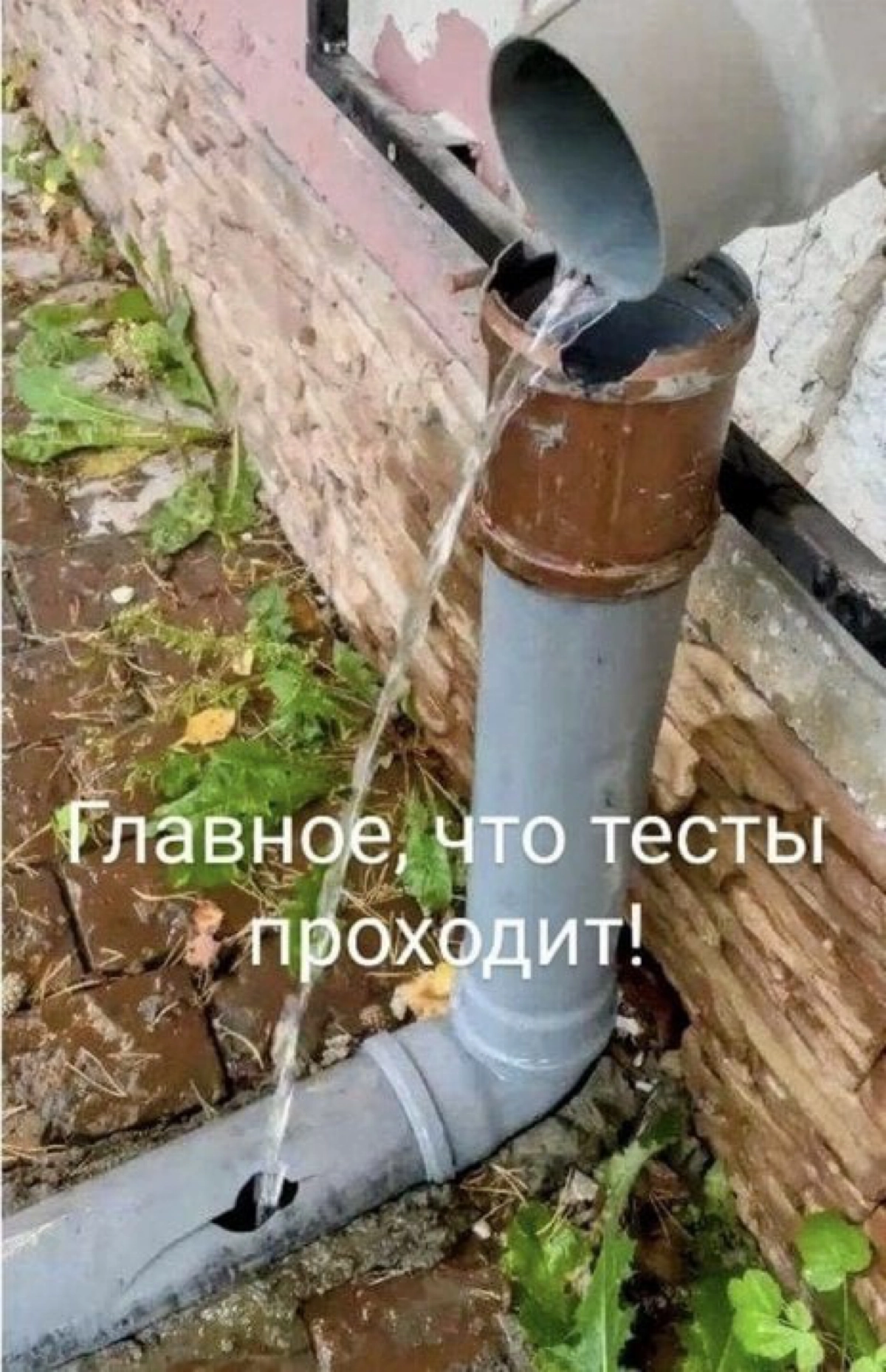 Сетка — социальная сеть от hh.ru