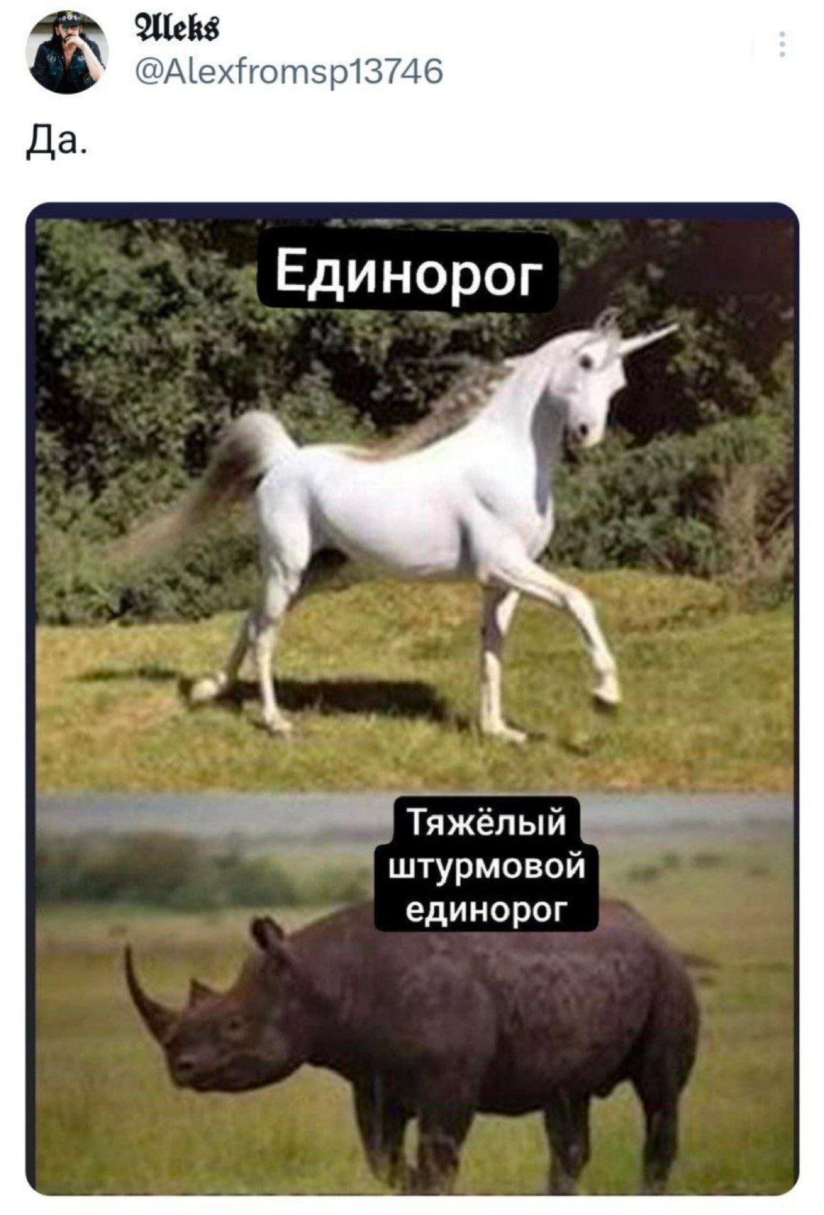 Что это такое? | Сетка — новая социальная сеть от hh.ru