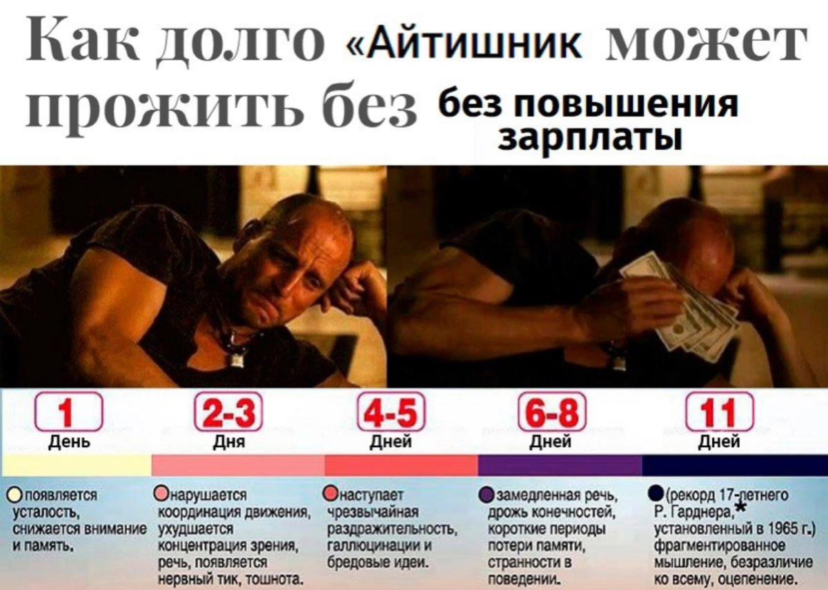 Сетка — новая социальная сеть от hh.ru