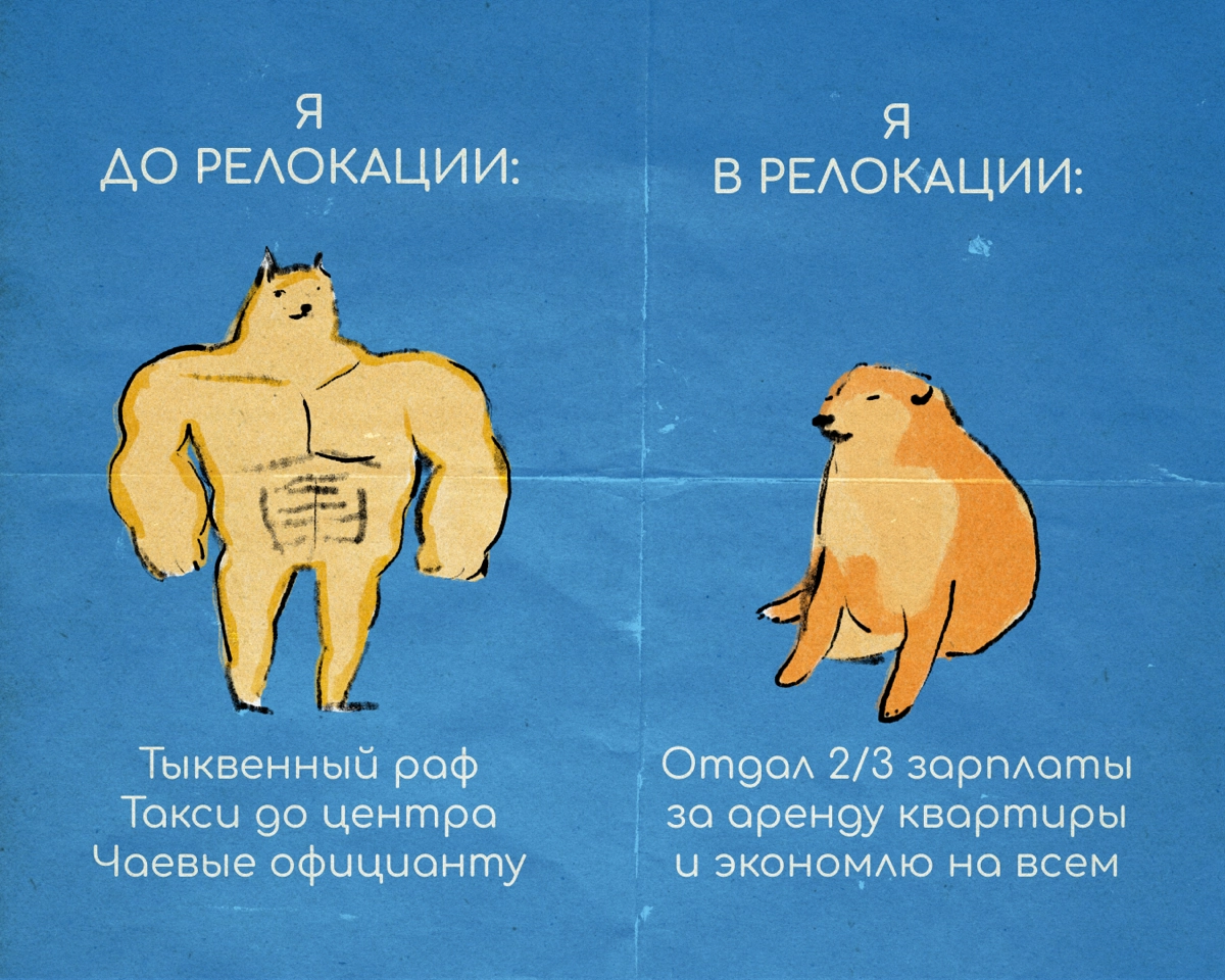 В релокации нужно быть готовым ко всему — например, посмеяться над собой, встряхнуться и идти дальше. Несите в комментарии ваши мемы про переезд. | Сетка — новая социальная сеть от hh.ru