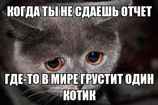 #отчёт за 16.07.2024
Позагорал. Поиграл в настольный теннис. Всё...
Зачем такой отчёт?
1. Ну см картинку :)
2. У меня было ~ 350 вкладок. Наводил порядок.
3 | Сетка — новая социальная сеть от hh.ru