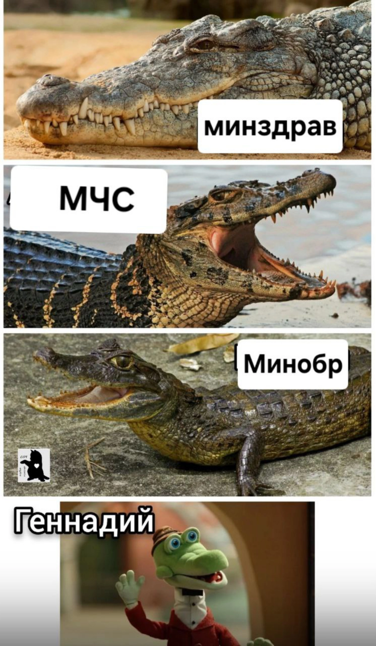 Сетка — социальная сеть от hh.ru