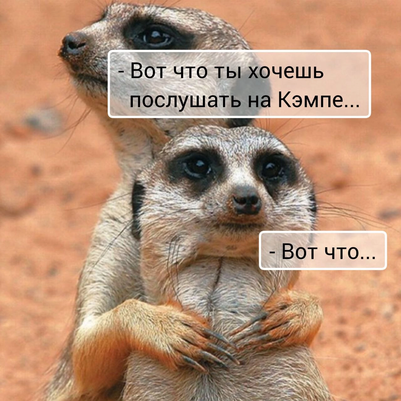 Разослали на голосование темы докладов для конференции ProductCamp | Сетка — новая социальная сеть от hh.ru