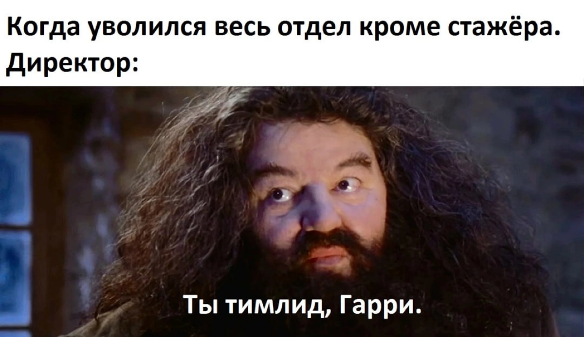 Сетка — социальная сеть от hh.ru