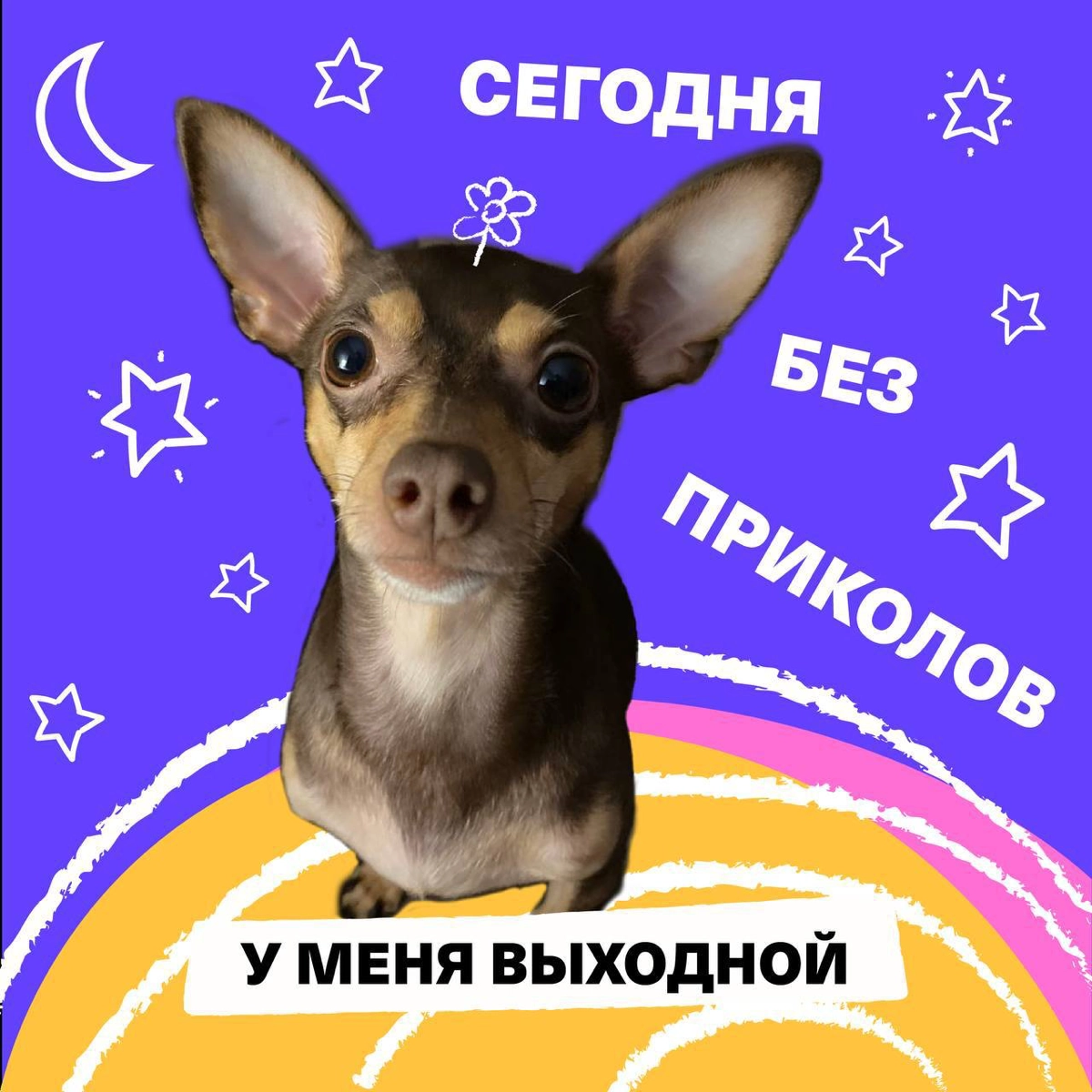 Зацените отпускные (и не только) аватарки от моих друзей из HR команды Timepad | Сетка — новая социальная сеть от hh.ru