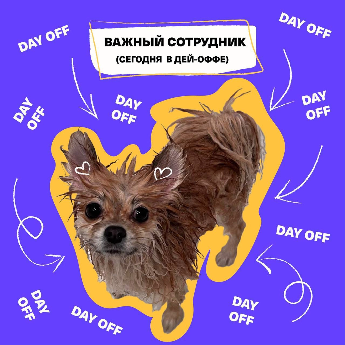 Зацените отпускные (и не только) аватарки от моих друзей из HR команды Timepad | Сетка — новая социальная сеть от hh.ru