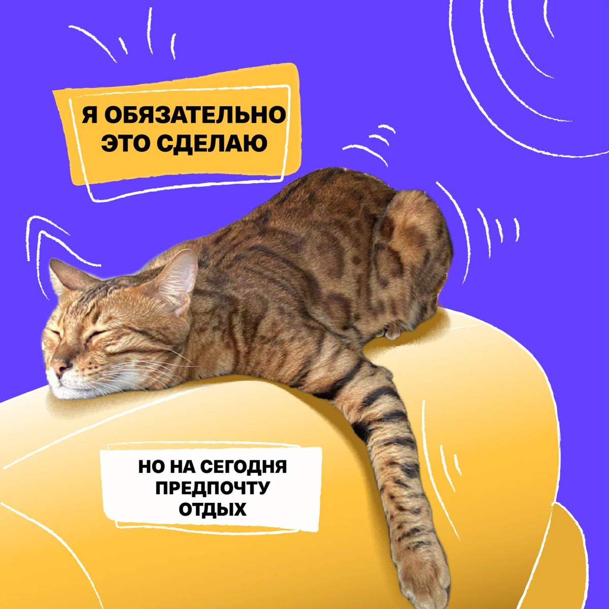 Зацените отпускные (и не только) аватарки от моих друзей из HR команды Timepad | Сетка — новая социальная сеть от hh.ru
