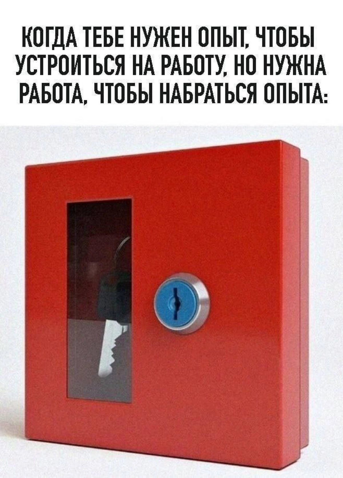 Сетка — социальная сеть от hh.ru