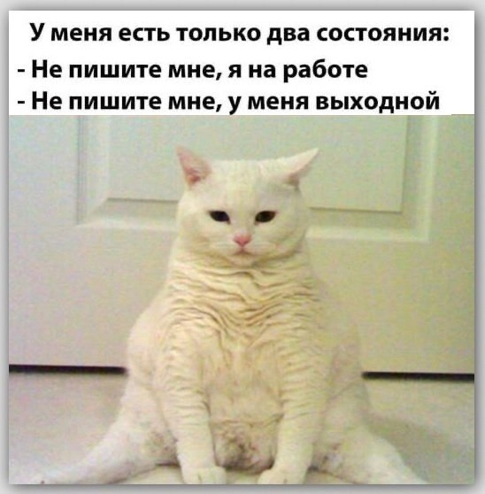 😊 а после 7 часов звонков и: не звоните, не смотрите, не дышите | Сетка — новая социальная сеть от hh.ru