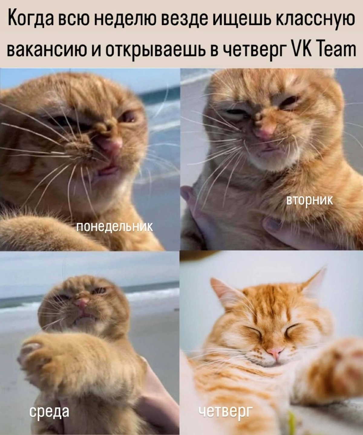 Бэкендеры, давайте сразу к делу | Сетка — новая социальная сеть от hh.ru