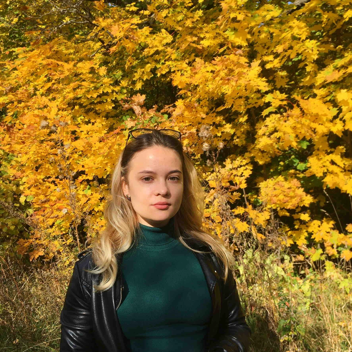 profile avatar