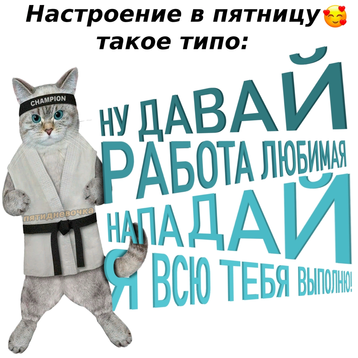 Сетка — новая социальная сеть от hh.ru