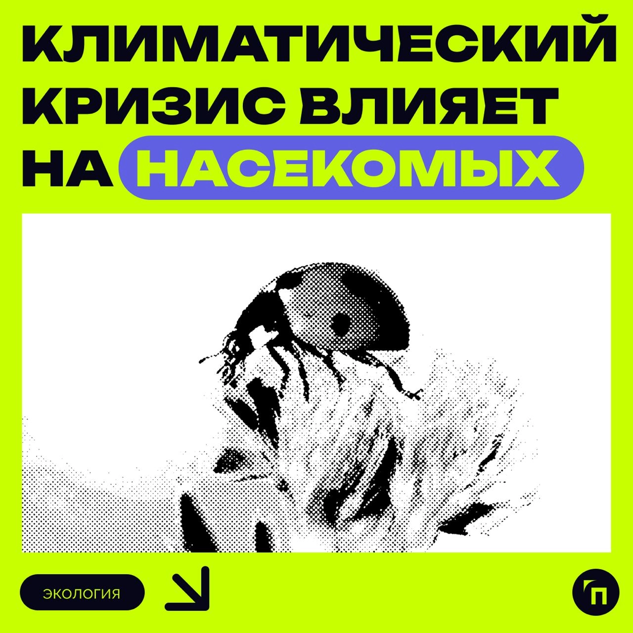 🦠 Климатический кризис влияет на насекомых
Изменение климата оказывает значительное воздействие на половую жизнь насекомых, влияя на их окраску и способность к спариванию | Сетка — новая социальная сеть от hh.ru