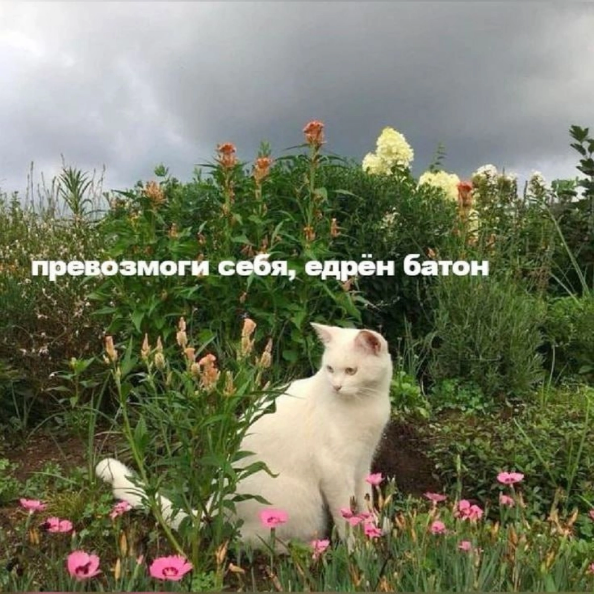 Сегодня пятница, так что давайте вдарим по мемам. | Сетка — социальная сеть от hh.ru