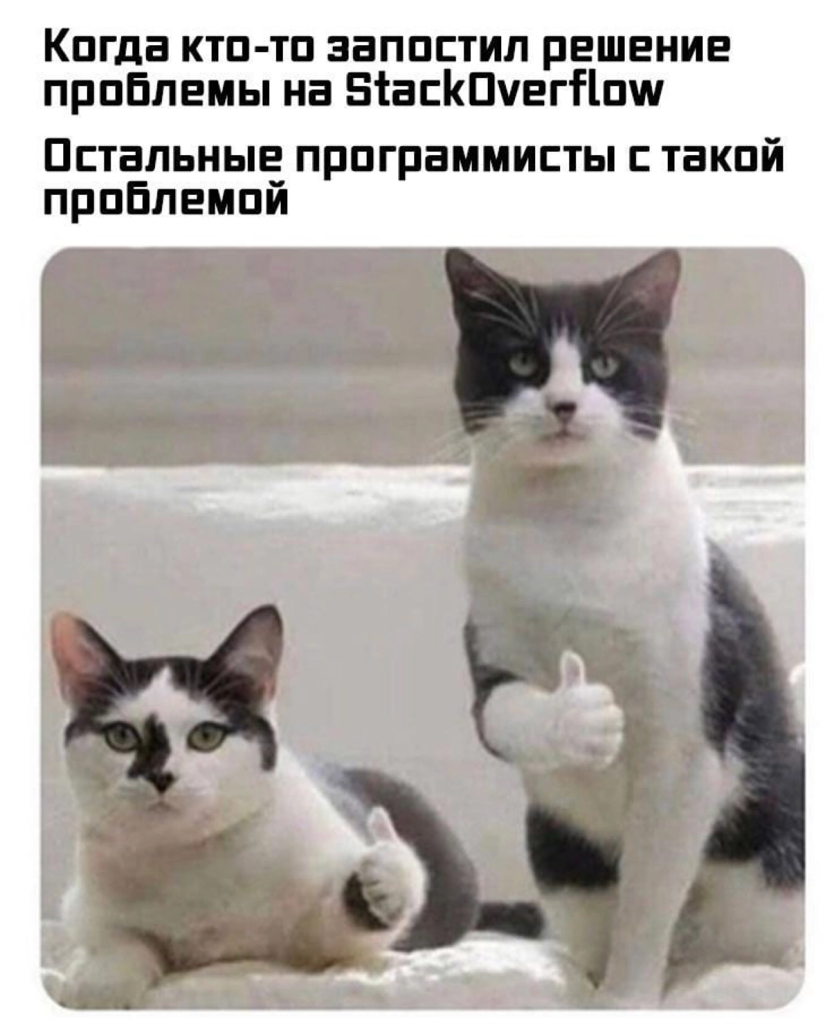 Сетка — социальная сеть от hh.ru