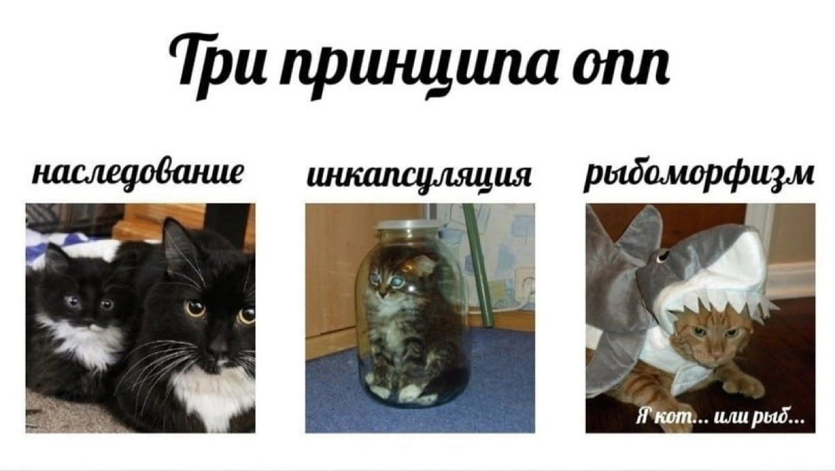 Сетка — новая социальная сеть от hh.ru