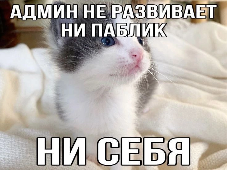 Сетка — новая социальная сеть от hh.ru
