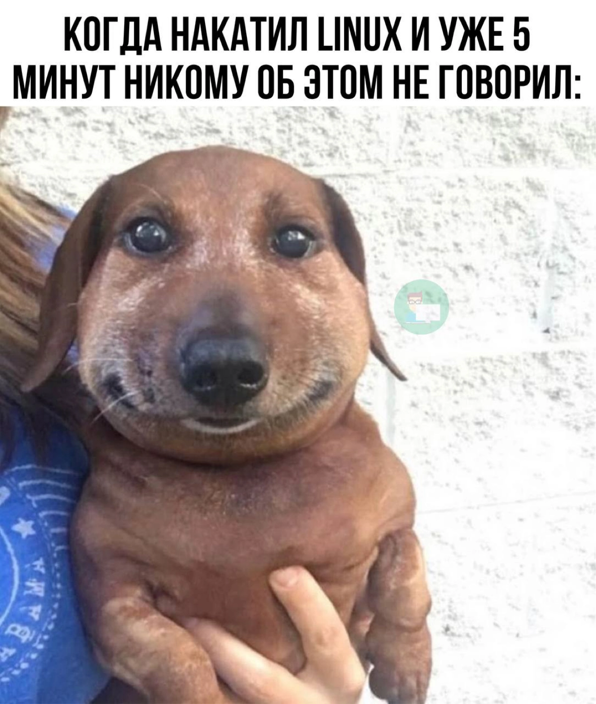 Сетка — новая социальная сеть от hh.ru
