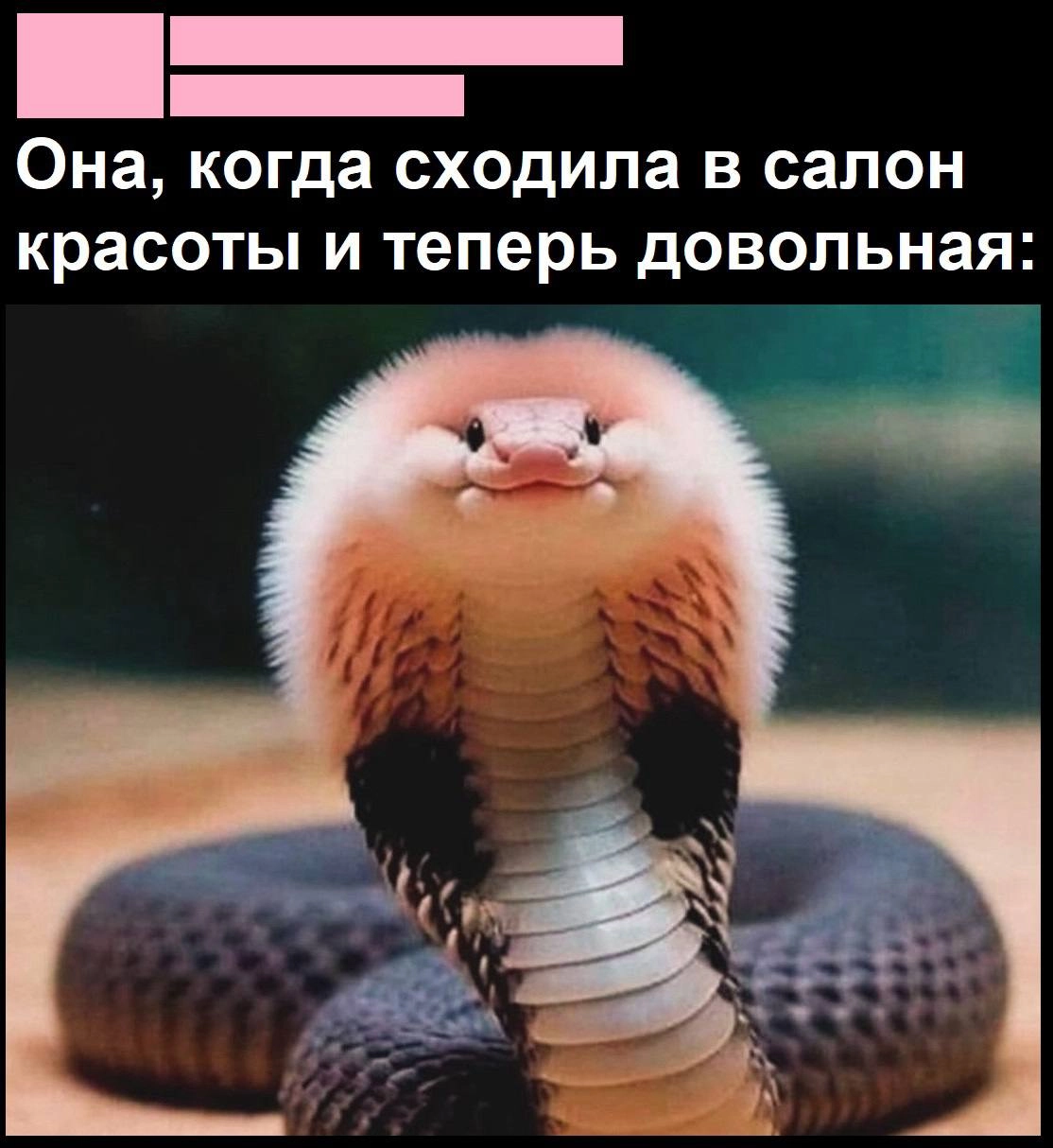 Сетка — социальная сеть от hh.ru