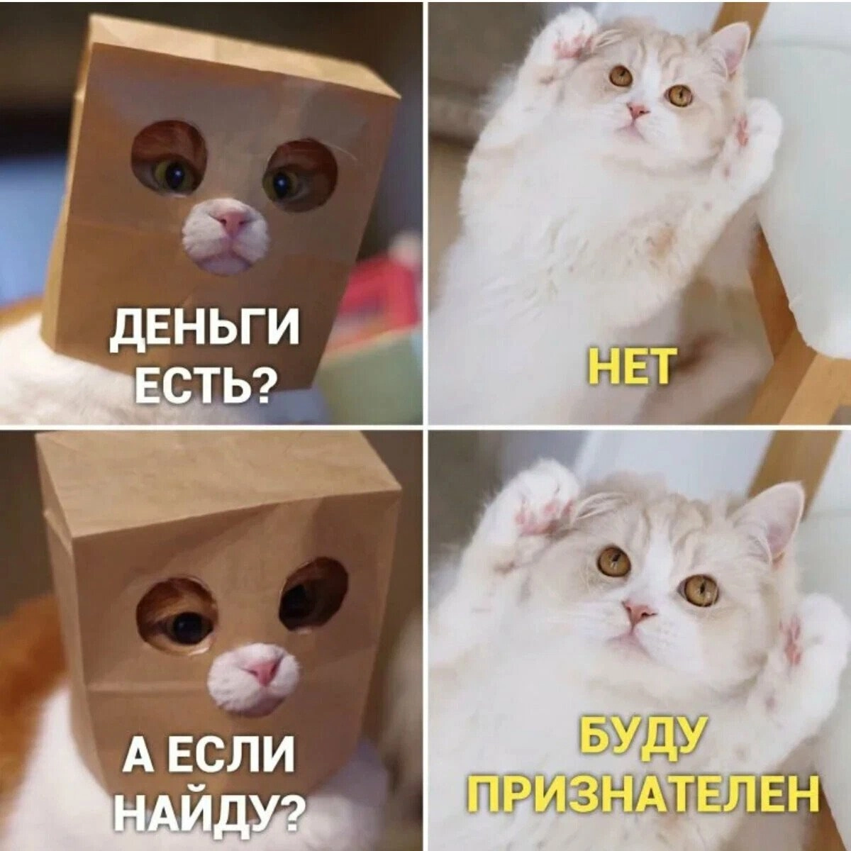 Сетка — новая социальная сеть от hh.ru