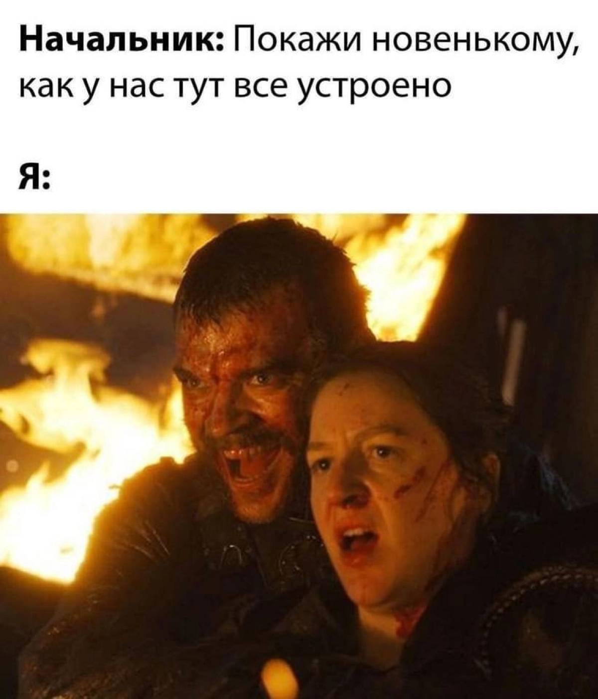 Сетка — новая социальная сеть от hh.ru