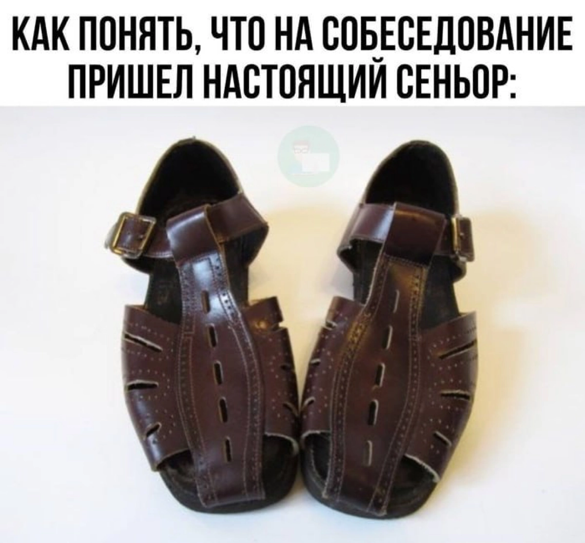 Сетка — социальная сеть от hh.ru