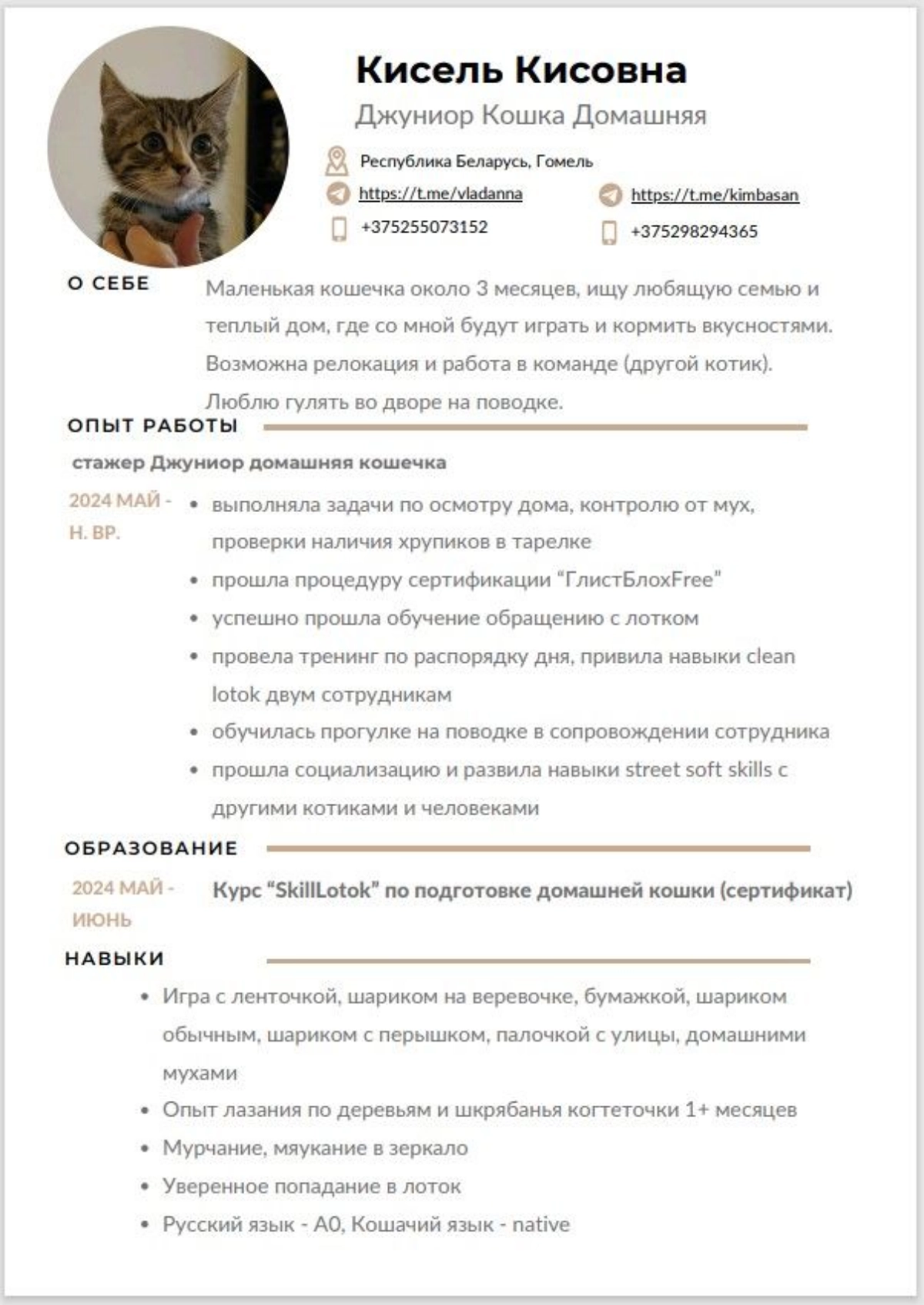 Сетка — новая социальная сеть от hh.ru