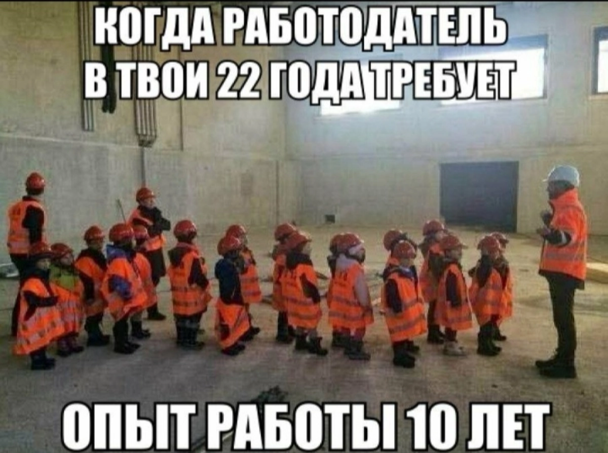 #mem #memes #humor #hr #work #мем #Юмор | Сетка — новая социальная сеть от hh.ru