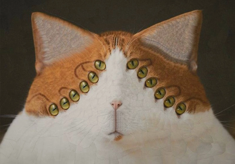 Утречка, #котизаи  🤗
👩‍🎨 loladupre #сюр #art #вдохновение #inspiration #art #cat #котики | Сетка — новая социальная сеть от hh.ru