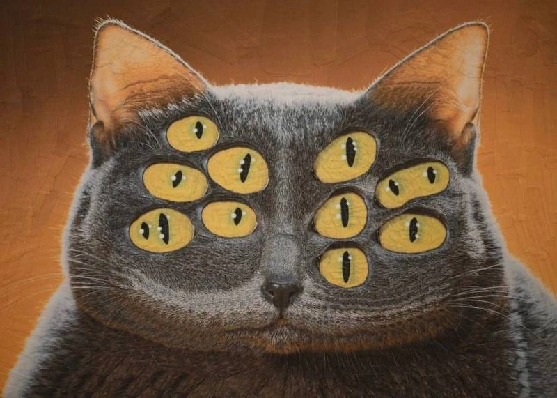 Утречка, #котизаи  🤗
👩‍🎨 loladupre #сюр #art #вдохновение #inspiration #art #cat #котики | Сетка — новая социальная сеть от hh.ru