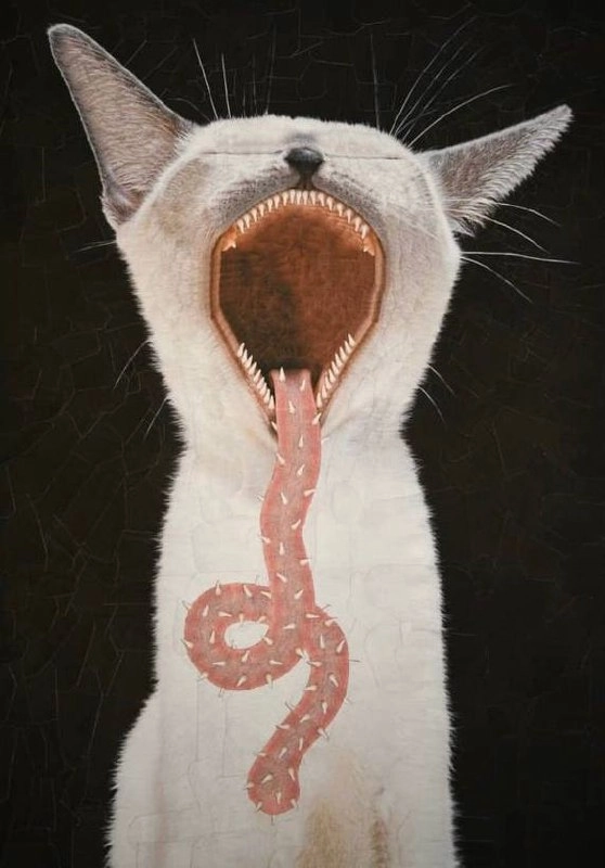 Утречка, #котизаи  🤗
👩‍🎨 loladupre #сюр #art #вдохновение #inspiration #art #cat #котики | Сетка — новая социальная сеть от hh.ru