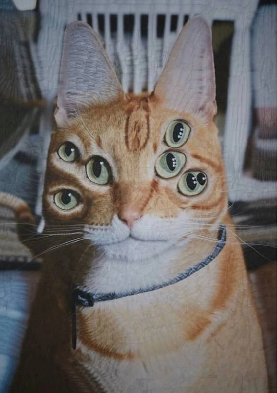 Утречка, #котизаи  🤗
👩‍🎨 loladupre #сюр #art #вдохновение #inspiration #art #cat #котики | Сетка — новая социальная сеть от hh.ru