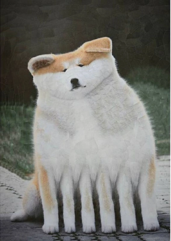 Утречка, #котизаи  🤗
👩‍🎨 loladupre #сюр #art #вдохновение #inspiration #art #cat #котики | Сетка — новая социальная сеть от hh.ru