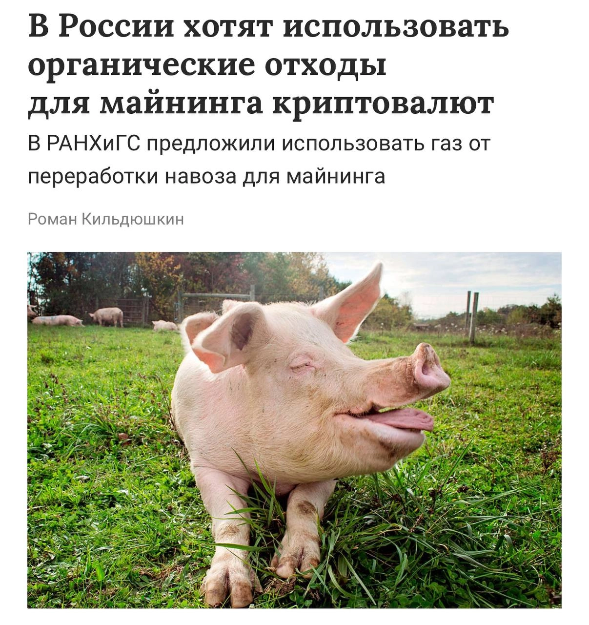 Россиянам предложили майнить криптовалюту с помощью навоза. 
Исследователи из РАНХиГС полагают, что нужно сжигать органические отходы и использовать газ от переработки в майнинге | Сетка — новая социальная сеть от hh.ru