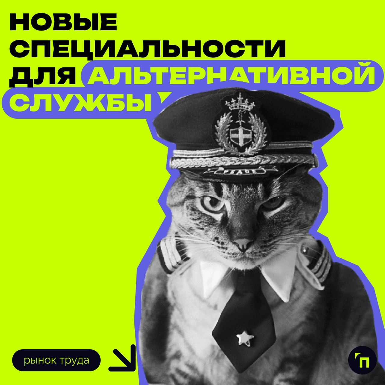 ⚡️ Новые специальности для альтернативной службы
Министерство труда и социальной защиты предложило расширить список профессий для альтернативной службы до 237 и добавить 1442 предприятия | Сетка — новая социальная сеть от hh.ru
