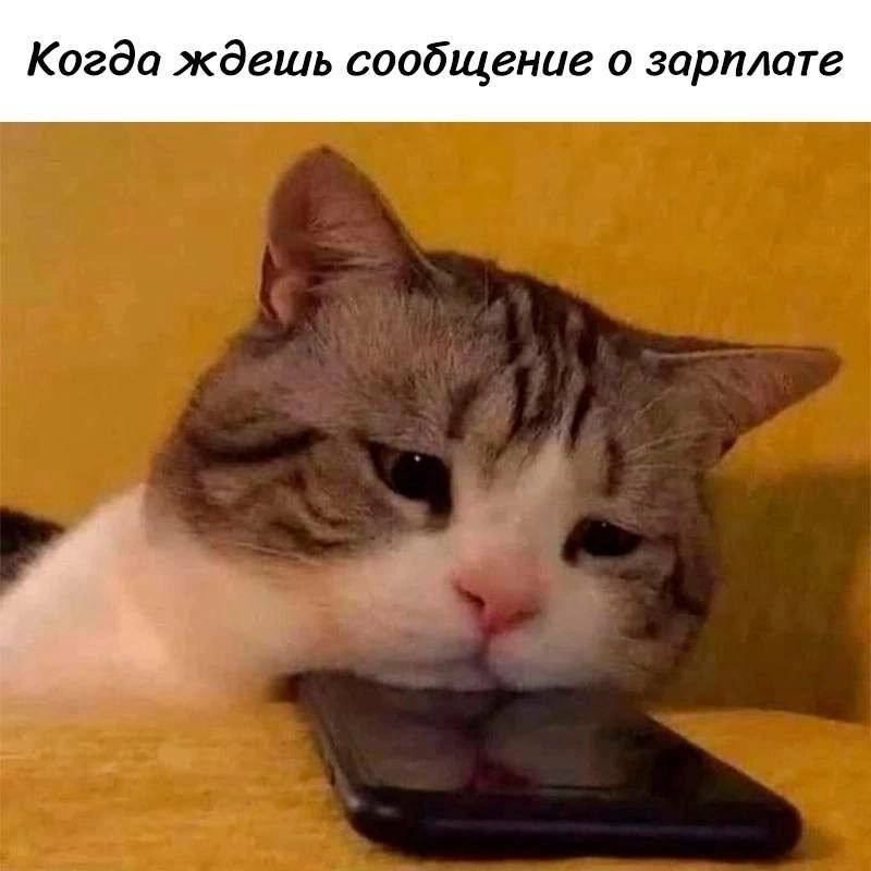 Иф ю ноу вот ай мин. Скоро … | Сетка — социальная сеть от hh.ru