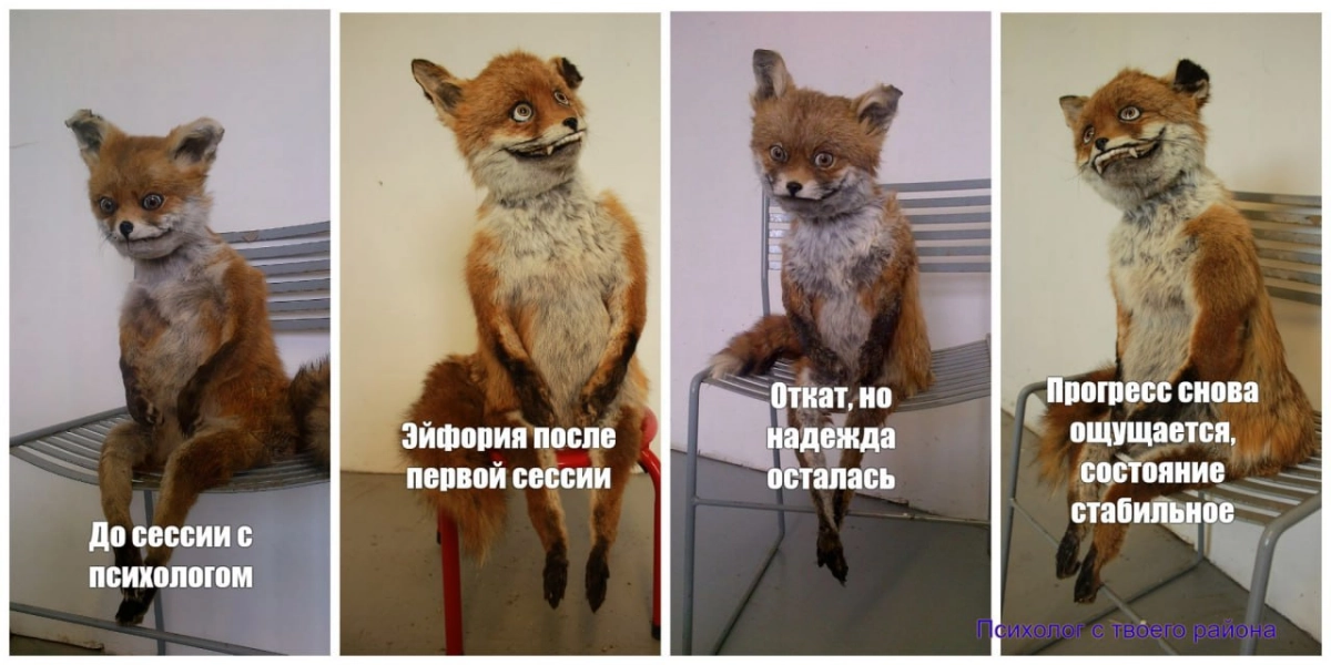 Как у меня проявляется прокрастинация? Надо допилить курс, над которым я тружусь уже 3 месяца. 
Но вместо курса сделал мем про этапы бытия клиента в психотерапии на примере упоротой лисы😄 | Сетка — новая социальная сеть от hh.ru