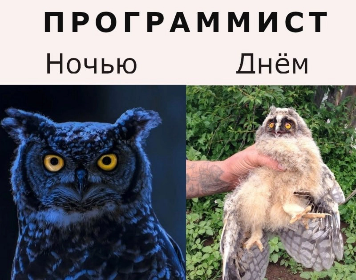 Сетка — социальная сеть от hh.ru