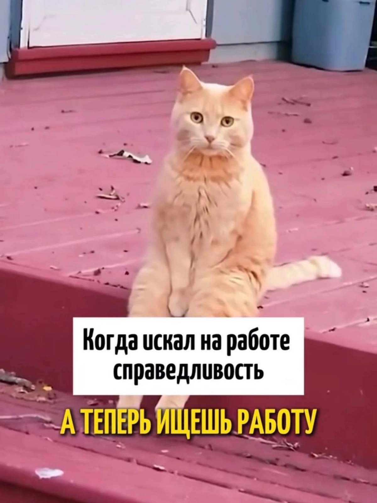 Мем #30 | Сетка — новая социальная сеть от hh.ru