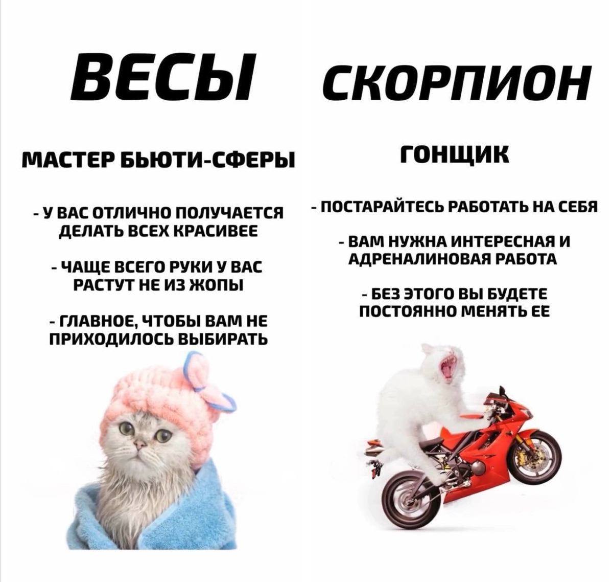 Эксперты рассказали, какая ты профессия по знаку зодиака. | Сетка — новая социальная сеть от hh.ru