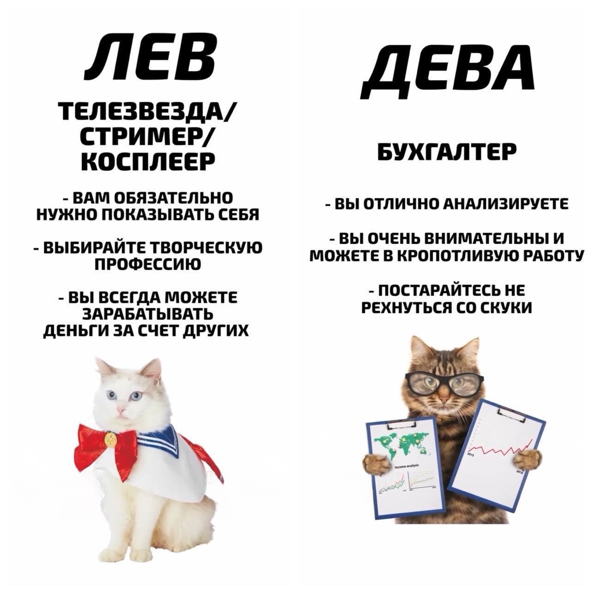 Эксперты рассказали, какая ты профессия по знаку зодиака. | Сетка — новая социальная сеть от hh.ru